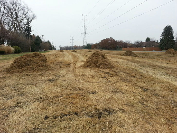 Prairie Restoration